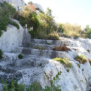 Tari Syracuse